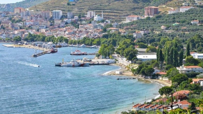 Marmara Adası’nda şap alarmı