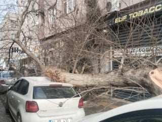 Balıkesir'de kamyonun çarptığı çınar ağacı, araçların üzerine devrildi