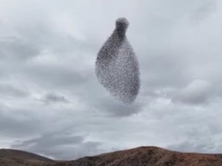 Kırıkkale’de sığırcık sürüsünden gökyüzünde görsel şölen