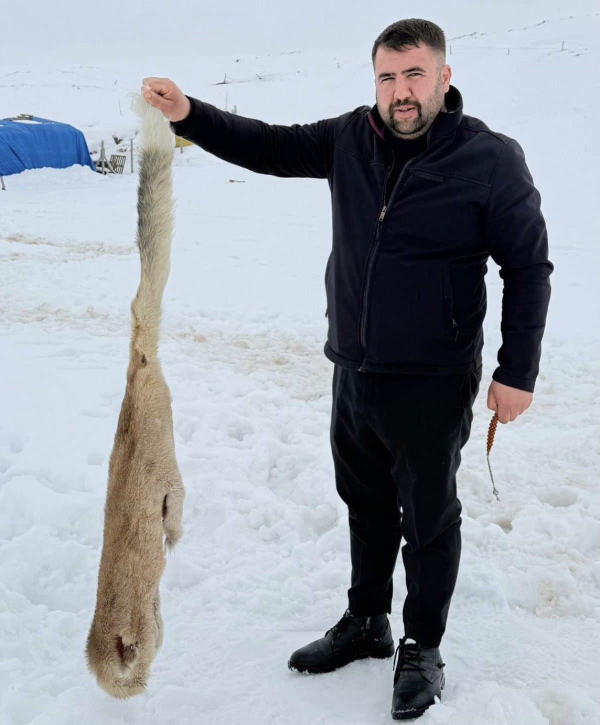 Sivas’ta Kış Zorluğu ve Yaban Hayvanlarının Yerleşim Alanlarına Yaklaştığı Anlar