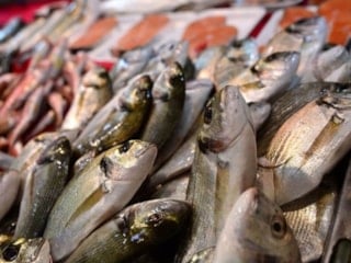 İstanbul balık fiyatları 2026: Hamsi, istavrit, levrek, çipura…