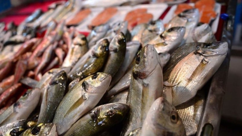 İstanbul balık fiyatları 2026: Hamsi, istavrit, levrek, çipura…