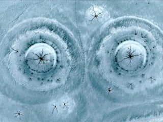 Doğa pes dedirtti! Bu kez Kayseri'de görüntülendi: Göz bebeği gibi...