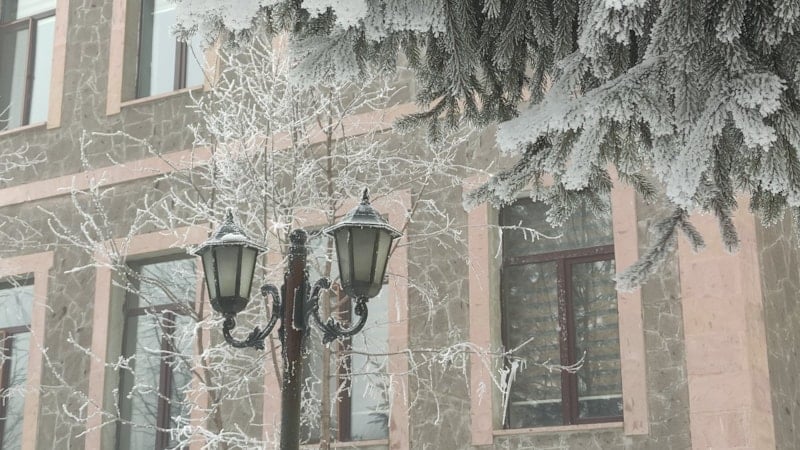 Ardahan’da Sibirya soğuğu hayatı felç etti