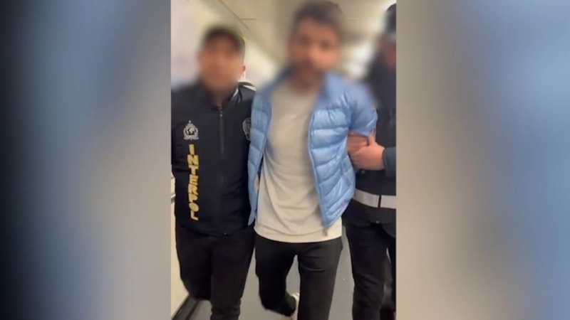 Suç örgütü Serdar Sertçelik Türkiye'ye getirildi