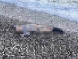 İzmir'de deniz kenarında çocuğa ait cansız beden bulundu
