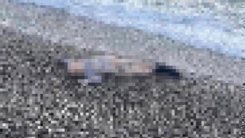 İzmir'de deniz kenarında çocuğa ait cansız beden bulundu