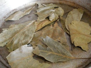 Avokado yaprağını kaynatıp içen yaşadı! Sonuçları şaşırtıyor...