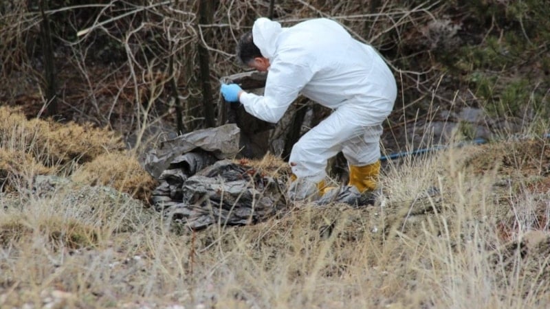 Çorum'daki cinayette yaşlı adamın kesik başı ormanda bulundu