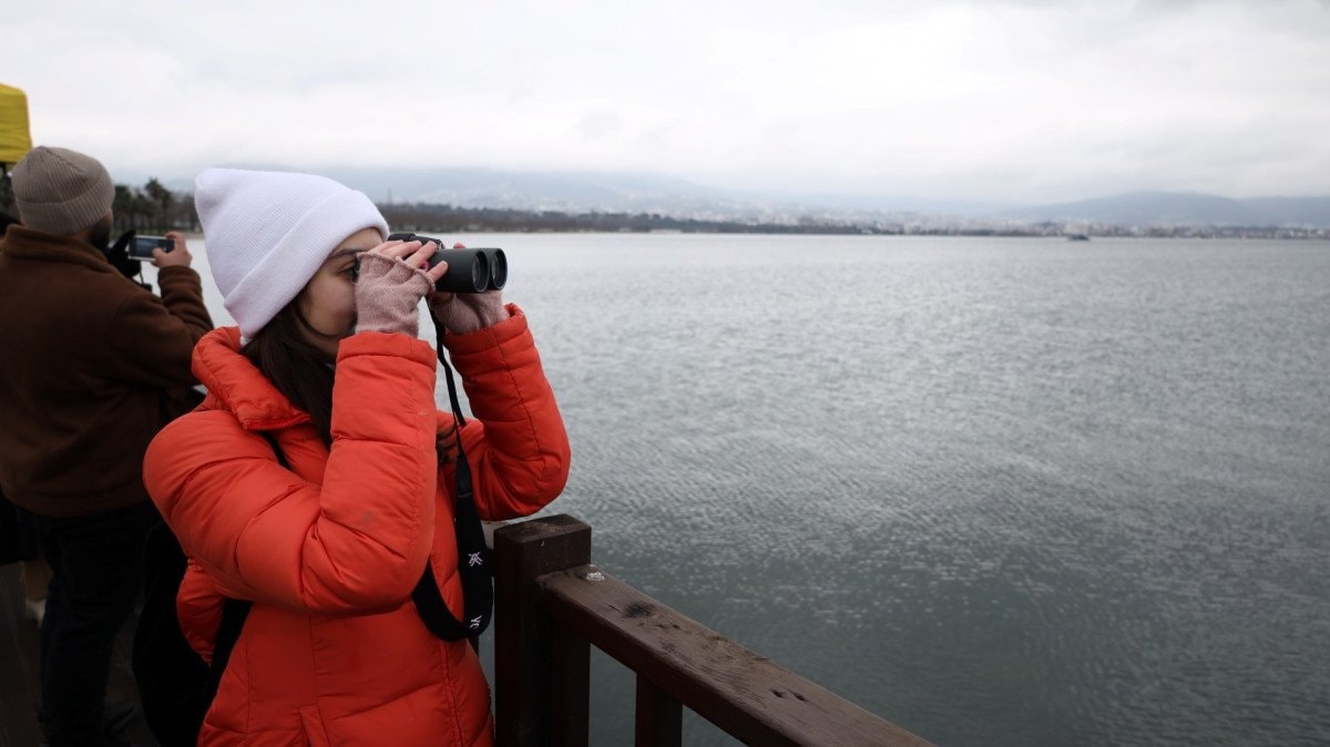 Flamingolarla Dolu Şenlik: İzmit Körfezi’nde 3. Flamingo Şenliği Renkli Saha Gözlemleri ile Beraberinde