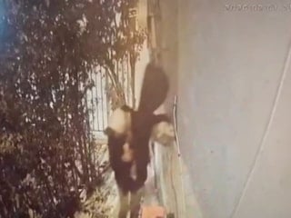 Şanlıurfa’da derneği soyan hırsız kamerada