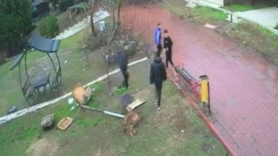 Adana'da parktaki kuş yuvasını parçalayan 4 çocuğa ev hapsi