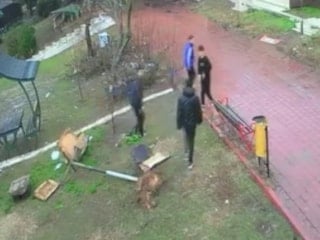 Adana'da parktaki kuş yuvasını parçalayan 4 çocuğa ev hapsi