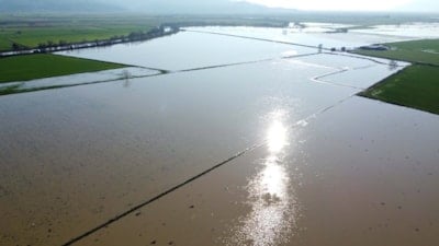 Aydın'da Büyük Menderes Nehri taştı