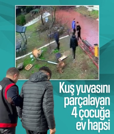 Adana'da parktaki kuş yuvasını parçalayan 4 çocuğa ev hapsi