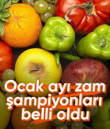 Ocak ayı zam şampiyonları