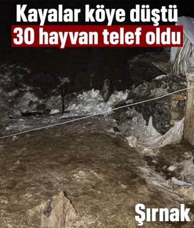 Şırnak'ta dev kayalar köye düştü: 30 hayvan telef oldu