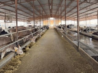 Hatay'da besiciler devlet desteğiyle yeniden üretime döndü