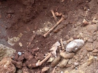 Antalya'da kazı çalışmalarında kemik parçaları bulundu