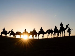 Suudi Arabistan'da "deve pasaportu" projesi