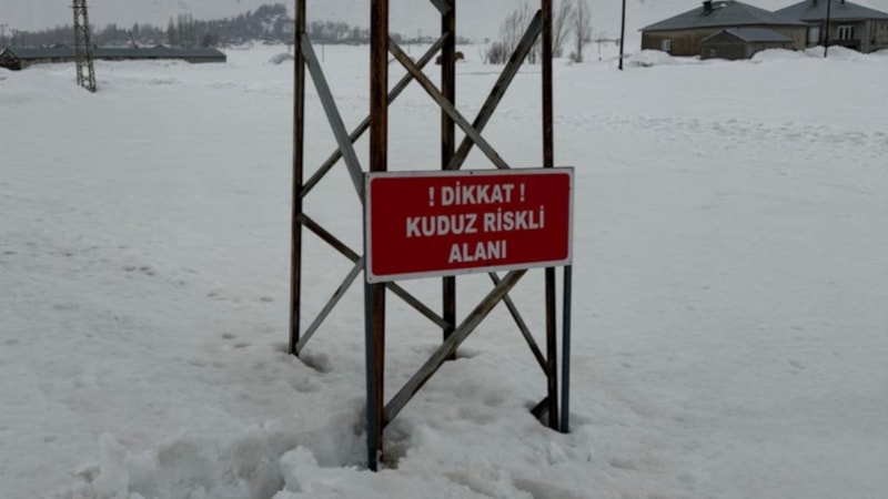 Hakkari'de kuduz alarmı