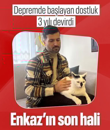 Asrın felaketinde enkazdan çıkardığı 'Enkaz' kediyi hala yanından ayırmıyor