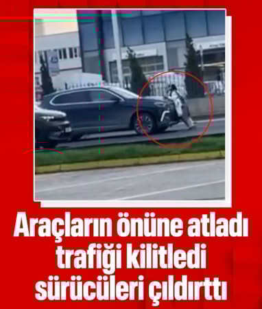 Bursa'da yola çıktı, araçların önünü kesti