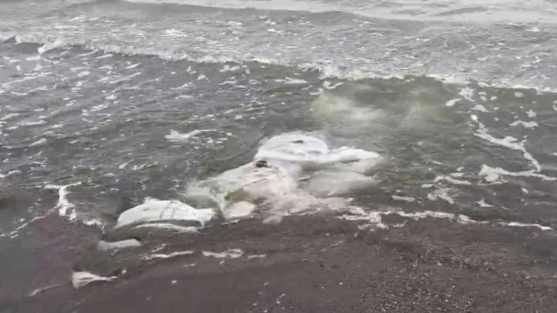 Samsun’da denizde inşaat atıkları alarmı