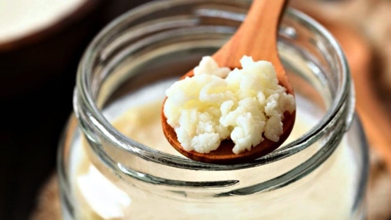 Metabolizmayı ateşleyen kadim içecek! Özellikle aç karnına..