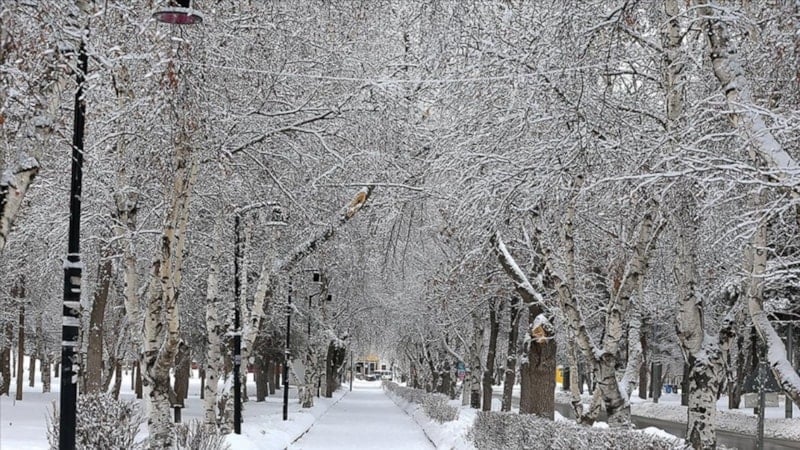 Doğu Anadolu'nun kışla imtihanı: Kar yağışı devam ediyor