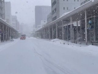 Japonya'da kar yağışı nedeniyle 45 kişi hayatını kaybetti