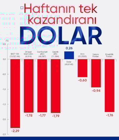 Yatırım araçlarında haftanın tek kazandıranı: Dolar