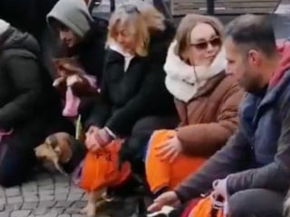 Ankara'da hayvanlar için eylem yapanlar sokak köpeğini uzaklaştırdı