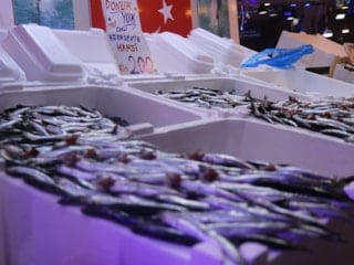 Sakarya'da tezgahların bir numarası yine hamsi oldu