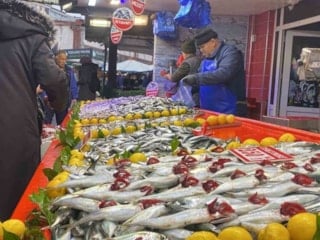 Vatandaş tezgaha akın etti: İşte hamsi, istavrit, mezgit, sardalya, uskumru fiyatları