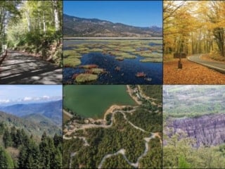 Türkiye'de korunan alanlara, Giresun ve Tokat'tan tabiat parkları eklendi