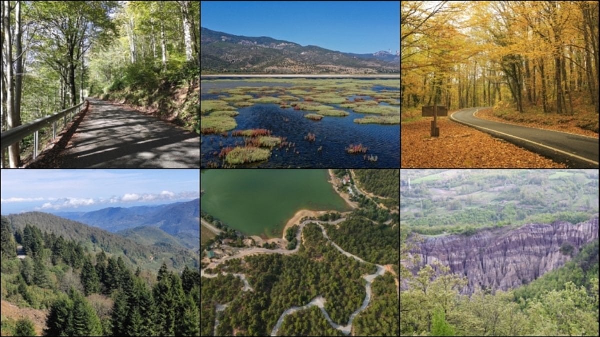 Türkiye'de korunan alanlara, Giresun ve Tokat'tan tabiat parkları eklendi