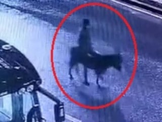 Kayseri'de forkliftle kuyumcu soyan şahıs eşekle kaçtı