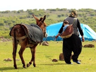 Türkiye'nin nüfusu artarken kırsalda yaşayanların nüfusu azalıyor