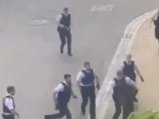 Almanya’da dalga konusu olan polis müdahalesi: 1 suçlu için 12 polis görevlendirildi