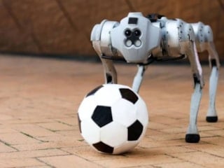 Robot köpekler, 2026 Dünya Kupası'nda görev yapacak