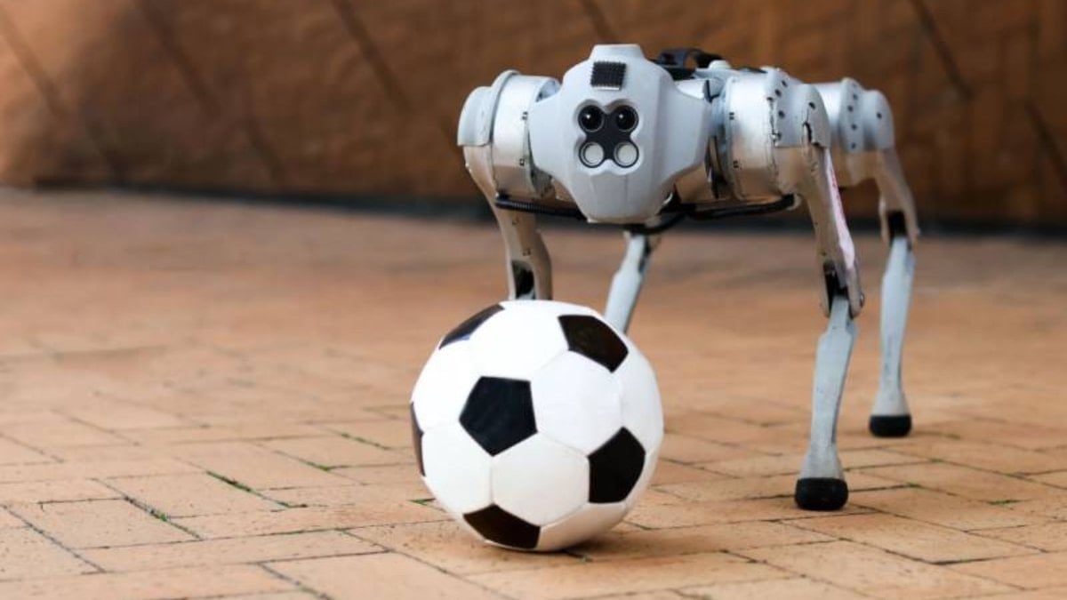 Robot köpekler, 2026 Dünya Kupası'nda görev yapacak