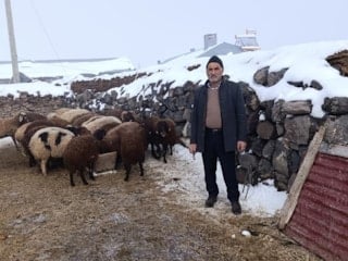 Kars'ta kurt saldırısında 214 koyun telef olmuştu: Digor tek yürek oldu