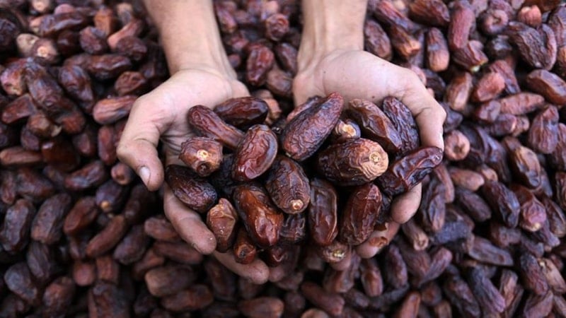 Hurma fiyatları 2026: Medine, Kudüs ve İran hurması kg fiyatı...