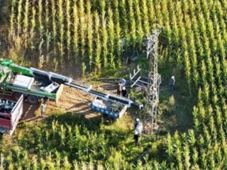 Güneydoğu enerji verileri: Şanlıurfa'da tüketilen elektriğin yarısı kaçak