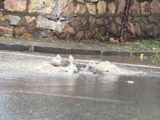 Bodrum'da sağanak yağış sonrası yollar trafiğe kapatıldı