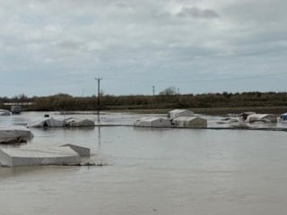 Mersin'de etkili olan sağanak 8 bin dönüm tarım arazisini sular altında bıraktı