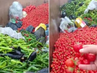 Antalya'da çöpe dökülen sebzeleri gören vatandaş tepki gösterdi