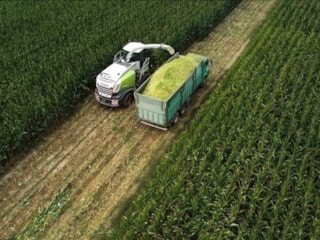 Ocak ayında tarım fiyatlarında yüzde 8,46 artış