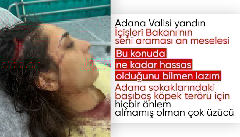 Adana'da bir kadın daha sokak köpeklerinin hedefi oldu